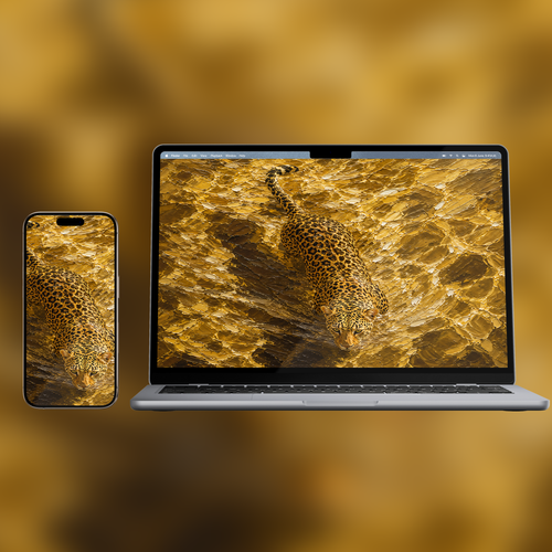 'Golden Leopard' Akiyo single (Designed for all screens)
