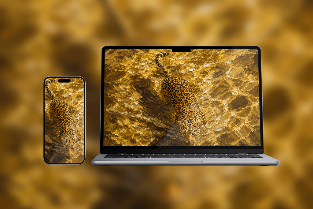 'Affluence' - Akiyo' 9x Collection (Designed for all screens)